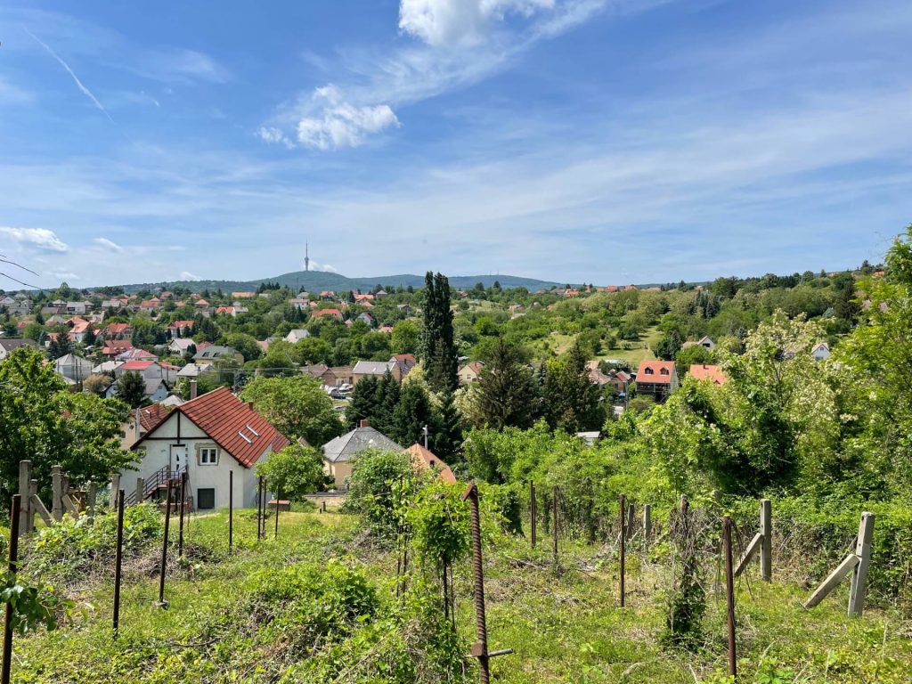 Pécs, Pécs-Mecsekszabolcsban építési telek gyönyörű kilátással eladó