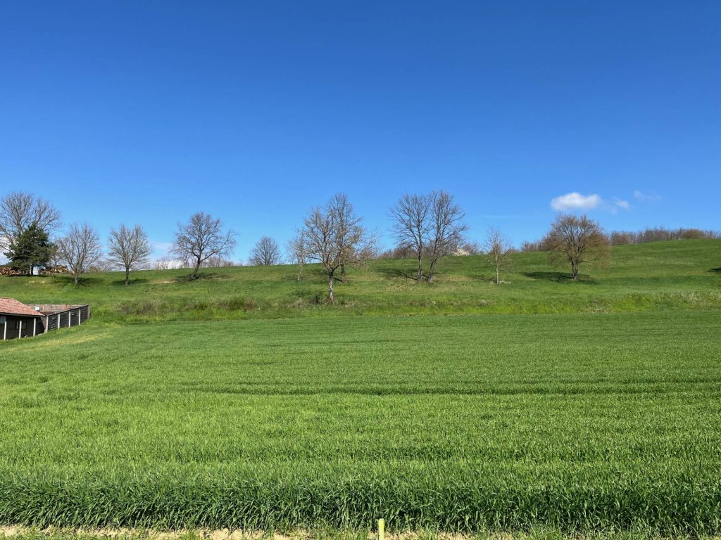 Magyarszék, Magyarszék újszerű részén, az Erdőalja utca szélén, 2462 nm-es, belterületi, építési telek eladó